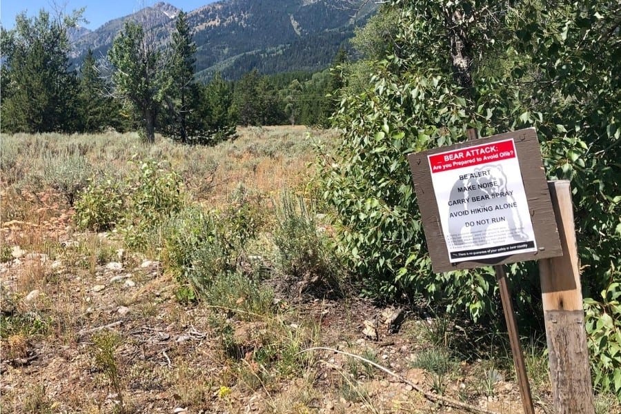 A sign cautioning visitors about bears in Grand Teton National Park