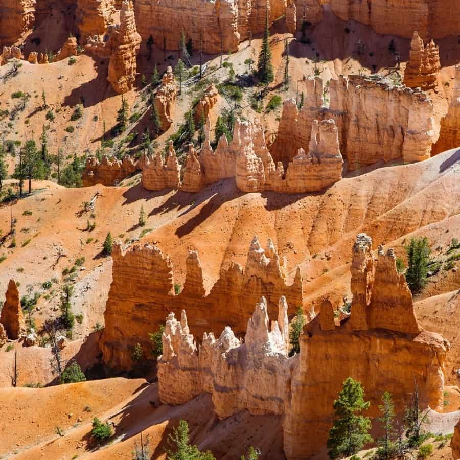 Hoodoo rock formations in Bryce Canyon National Park