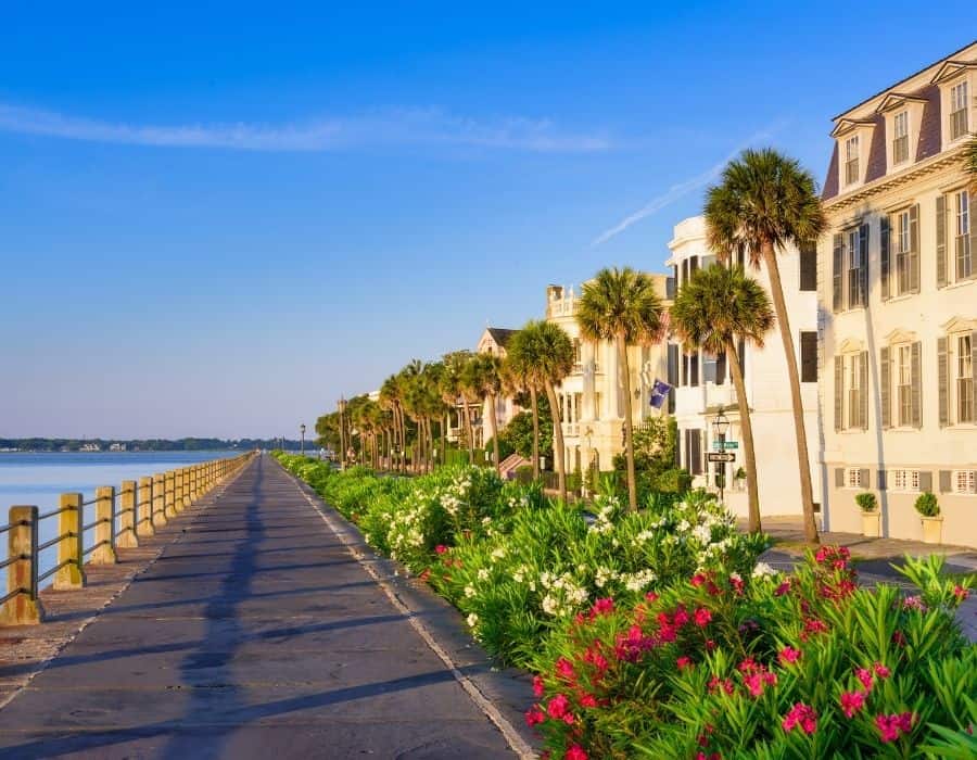 Waterfront in Charleston South Carolina with flowers and buildings beyond
