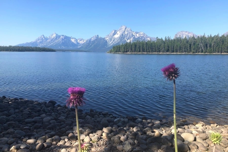 Colter bay, Jackson Lake with Teton mountains beyond