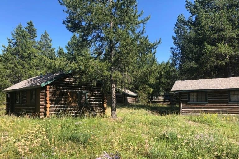Several cabins sit amongst wildflowers at Colter Bay Village at Grand Teton National Park