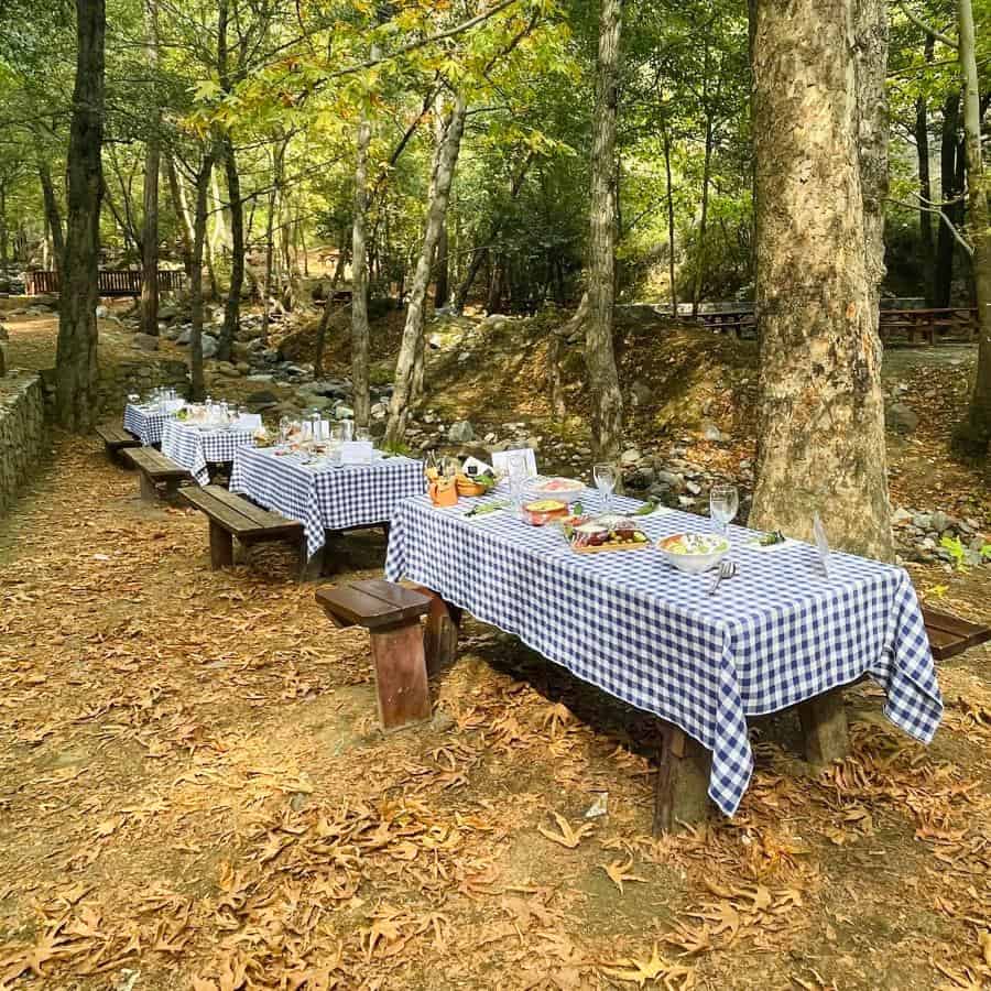 Picnic tables with checked cloths and Cyprus traditional foods set out are under the shade of large trees
