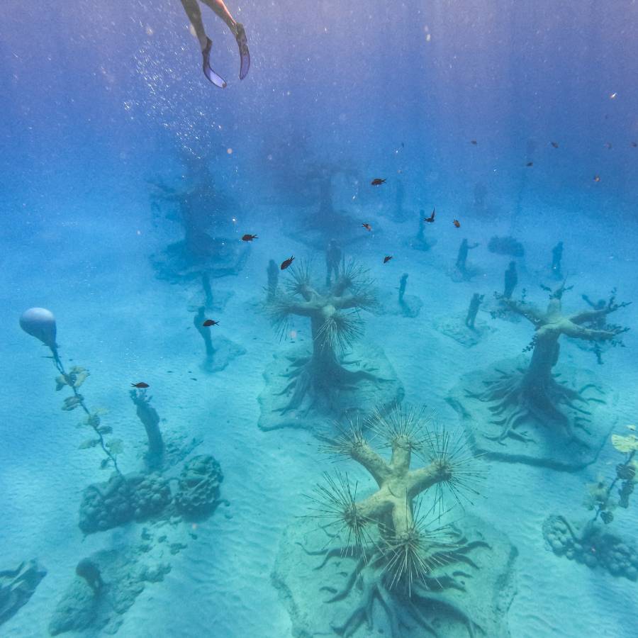 An underwater scene with legs of a snorkeler dangling at the top of the photo. On the sandy ocean floor are sculptures that are part of the Musan Underwater Museum. The sea is clear and a turquoise color