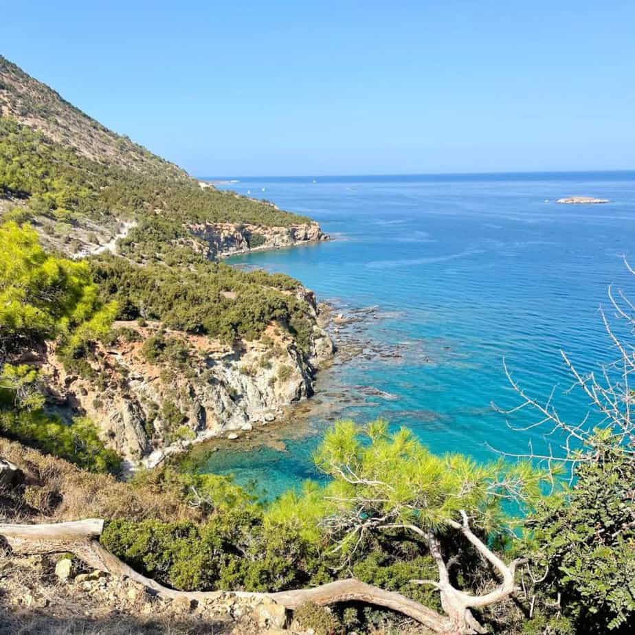 A view of the turquoise Mediterranean Sea from the Aphrodite Trail on the island of Cyprus. The winding coastline is also pictured with some pine trees and other vegetation on s hillside that drops down to the sea.