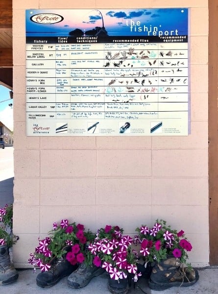 A fishing report is posted on the wall in West Yellowstone. Old boots serve as unusual flower planters beneath it