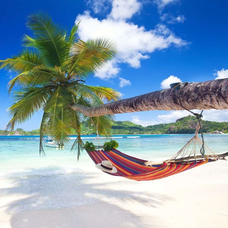 a hammock hangs over the ocean