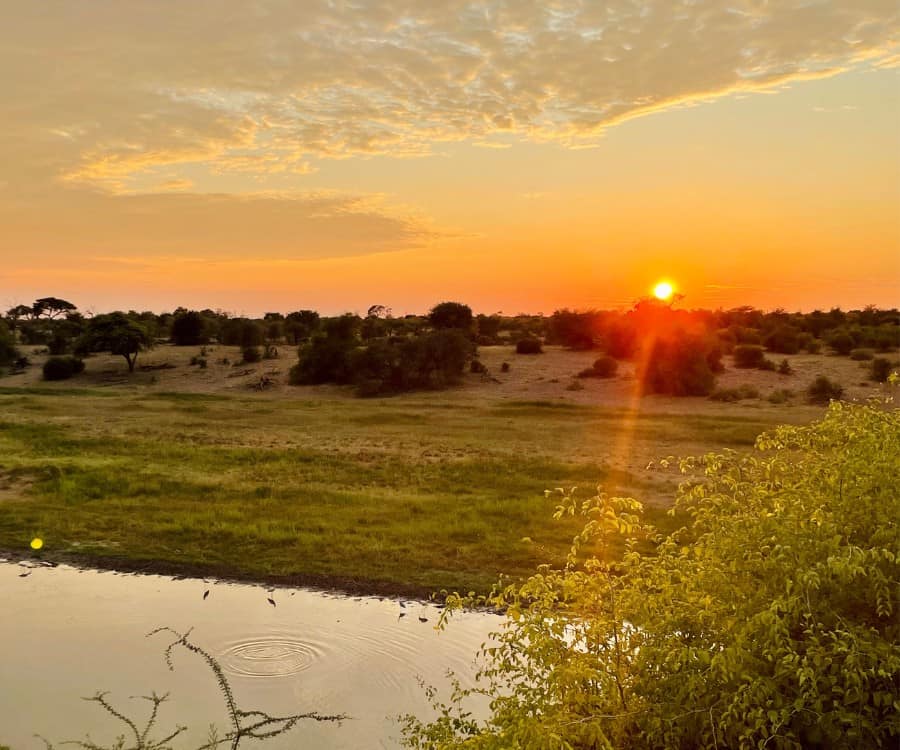 The sunrise at Leroo La Tau Safari lodge in Botswana.