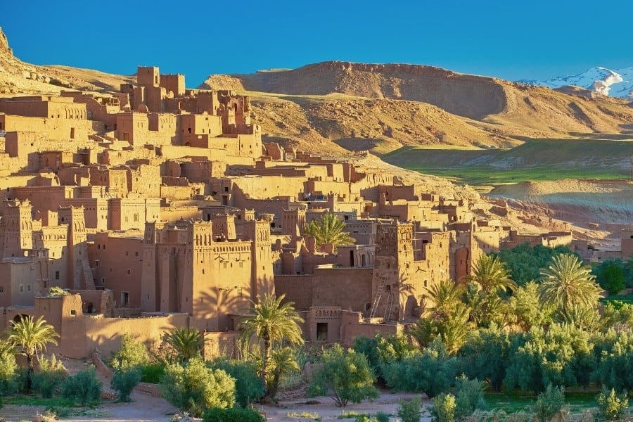 A date palm grove in Morocco