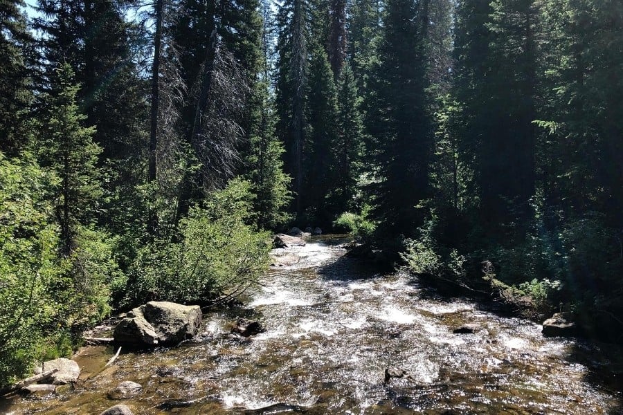 Fishing is permitted in most lakes and rivers in Grand Teton National Park