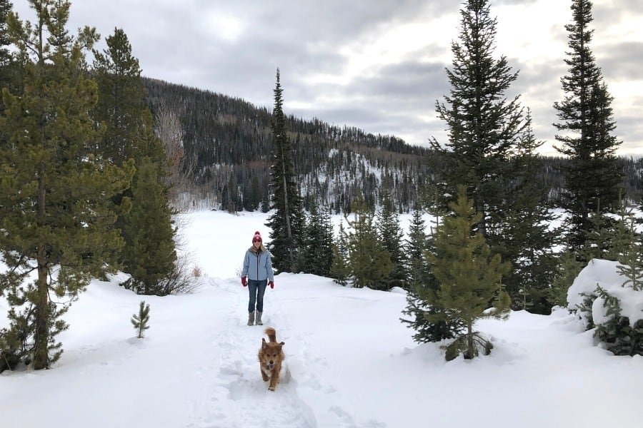A winter hike A woman hikes with her dog at Pearl Lake State Park