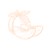 an illustrations of a peach